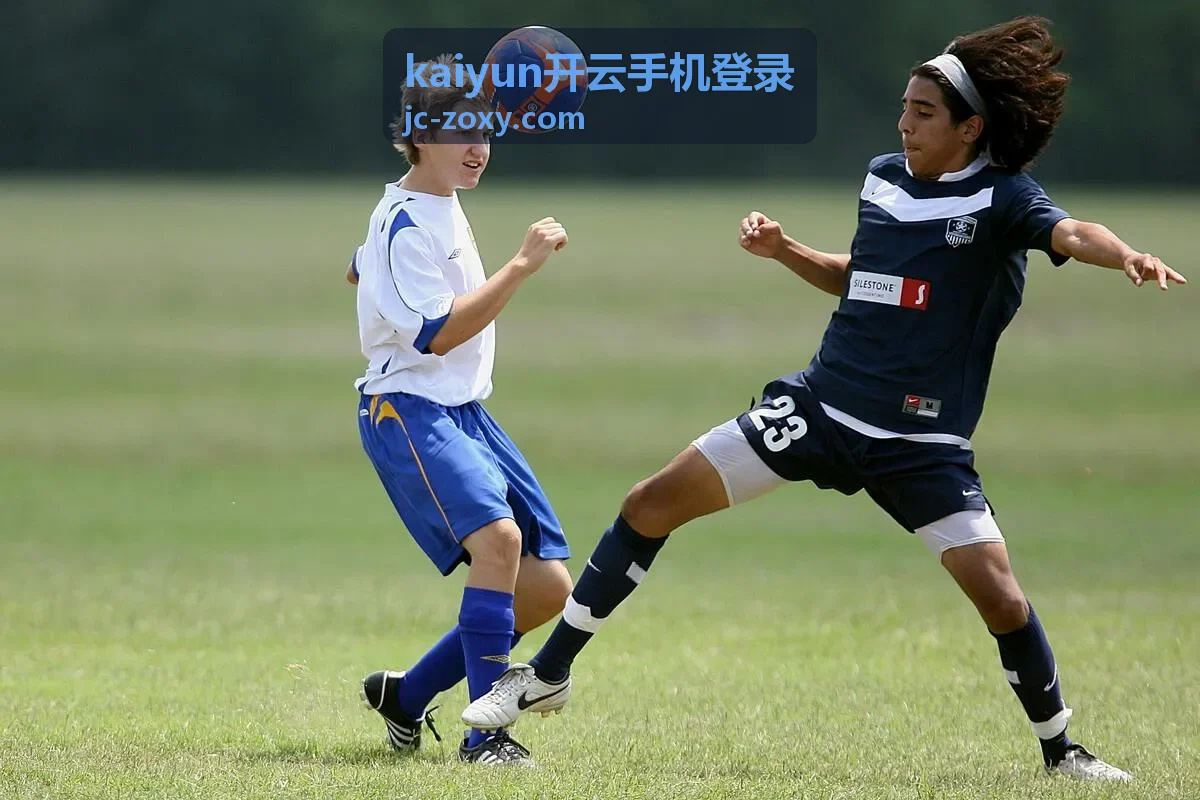kaiyun开云手机登录手机端页面示意