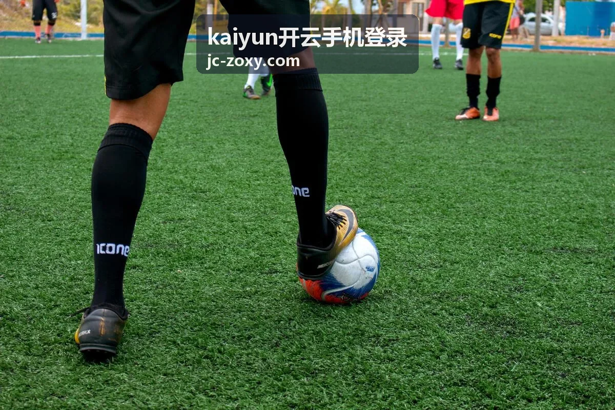 kaiyun开云手机登录手机端登录通道示意