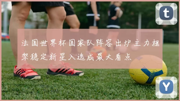 法国世界杯国家队阵容出炉主力框架稳定新星入选成最大看点