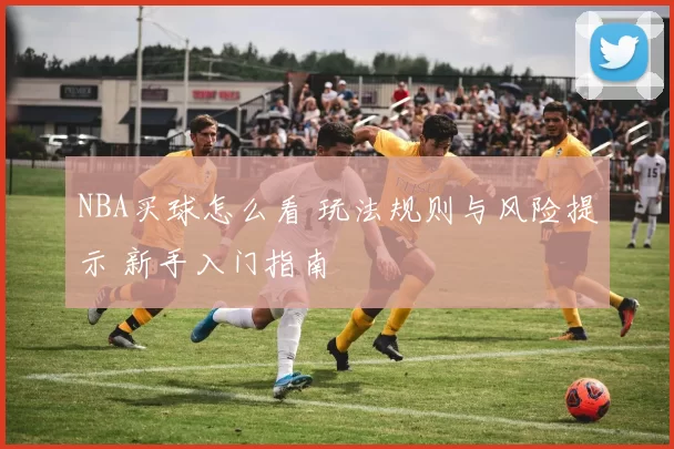 NBA买球怎么看 玩法规则与风险提示 新手入门指南